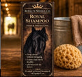 Royal Coat Wash — Premium Equine Shampoo